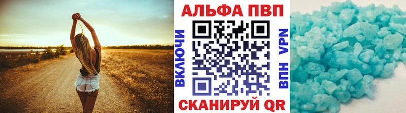 закладки  Стародуб  Альфа ПВП СК 