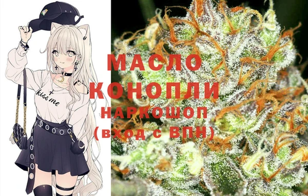 индика Армянск