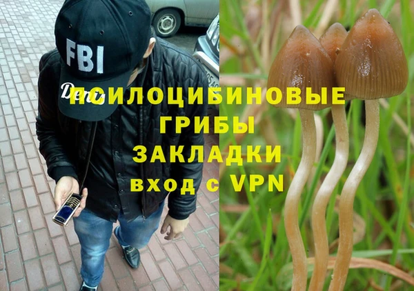 тгк Балахна