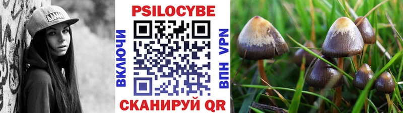 купить сайты Стародуб Псилоцибиновые грибы GOLDEN TEACHER