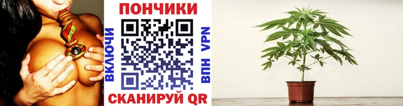 Шишки марихуана сатива  Стародуб 